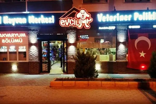 EVCILIM 7/24 AÇIK VETERINER POLIKLINIĞI - Acil Durum Veterinerlik Hizmeti - Bursa Gemlik