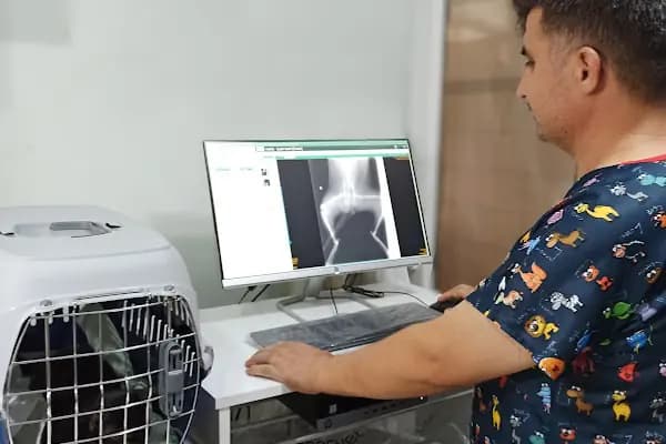 Akdeniz Veteriner Kliniği - Veteriner - Mersin Anamur
