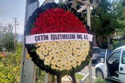 Balgat ilkçağlar çiçek
