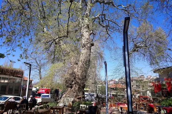 Kaynaklar - Semt - İzmir Buca