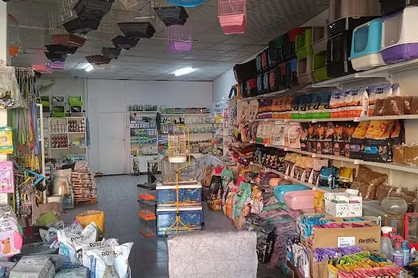 Gaziantep petshop minnak - Evcil hayvan mağazası - Gaziantep Şehitkamil