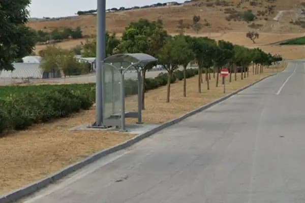 Balıkesir büyükşehir belediyesi hayvan pazarı - Pazar - Balıkesir Altıeylül