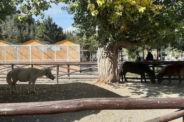 Ceylanlar Parkı - Hayvanat Bahçesi - Ankara Yenimahalle
