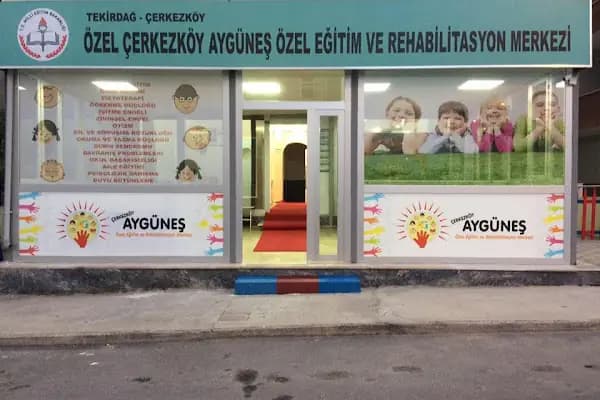 Özel Çerkezköy Aygüneş Özel Eğitim Ve Rehabilitasyon Merkezi - Rehabilitasyon Merkezi - Tekirdağ Çorlu