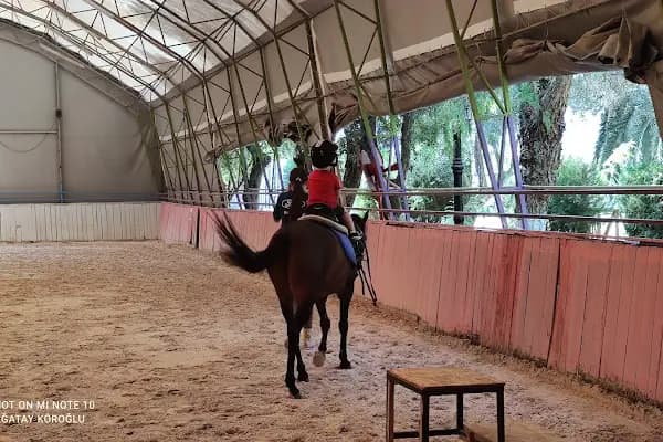 İzmir Atlı Spor ve İhtisas Kulübü - At Binme Hizmeti - İzmir Balçova