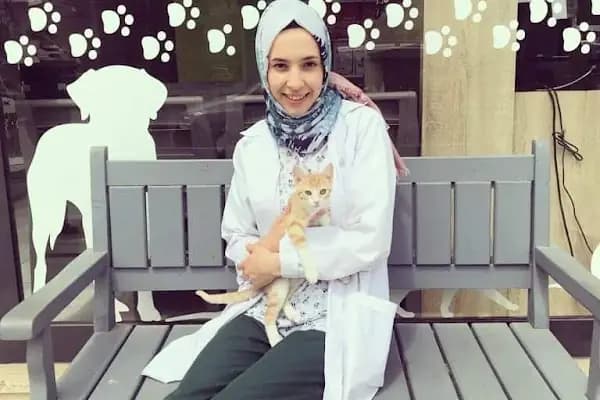 Sakarya Vetipati Veteriner Kliniği - Veteriner - Sakarya Serdivan