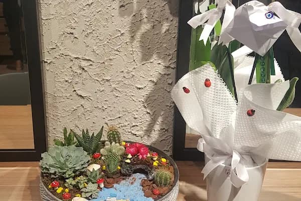 Tenzile Guzellik Salonu - Kuaför - Bursa İnegöl