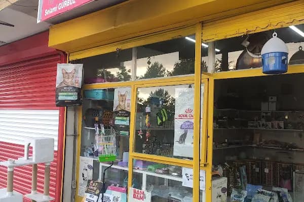 GÜRBÜZ PETSHOP - Evcil hayvan mağazası - Ankara Çankaya