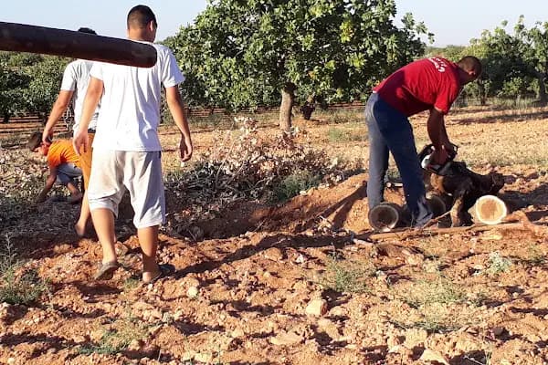 Bozfırat Bağ Evi - Üzüm Bağı - Gaziantep Yavuzeli