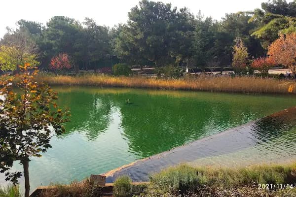 Dülükbaba Biyolojik Göleti - Park - Gaziantep Nizip