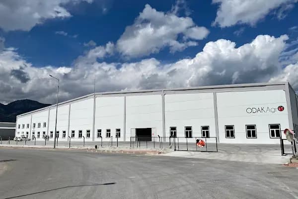 Odak Tarım Ltd.Şti. - Tarım Kuruluşu - Antalya Elmalı