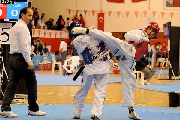 Burhaniye Olimpik Gençlik Spor Klübü - Spor salonu - Balıkesir Burhaniye