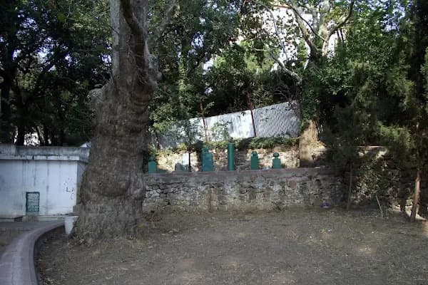 Mustafa Halveti Türbesi - Mezarlık - İstanbul Arnavutköy