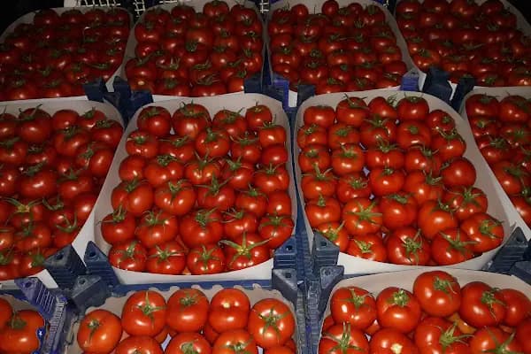 Konaklı toptancı hali - Alışveriş merkezi - Antalya Alanya