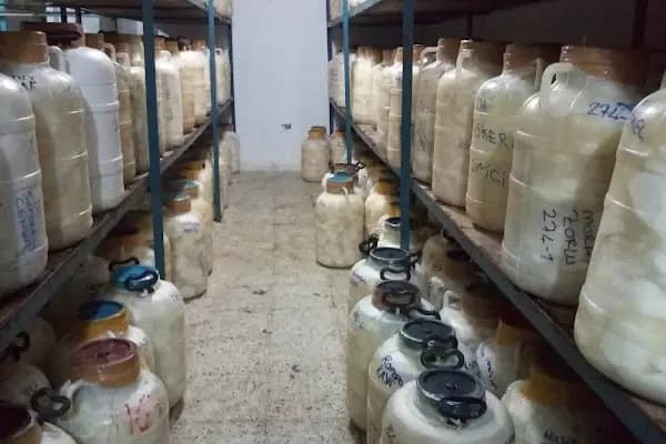 Mazî Soğuk Hava Deposu - Bûzxane - Soğuk Hava Deposu Tesisi - Mardin Yeşilli