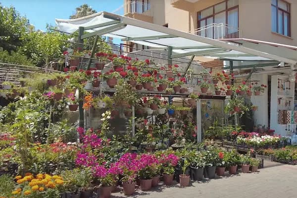 Çiğdem Çiçekçilik - Çiçekçi - Antalya Döşemealtı