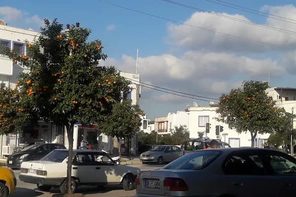 CarrefourSA - Süpermarket - Muğla Bodrum