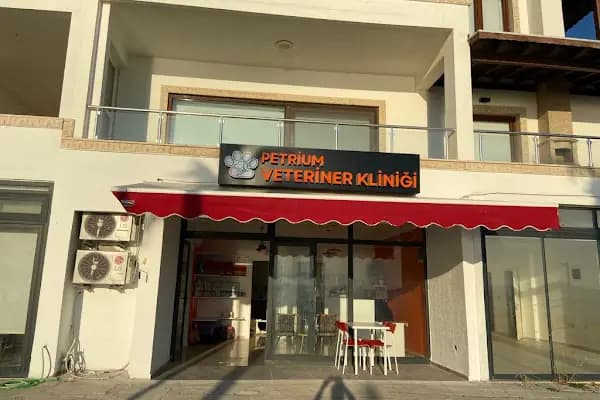 Petrium Veteriner Kliniği - Veteriner - Muğla Bodrum