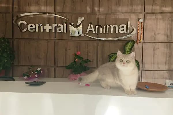 Central Animal Bornova Veteriner Polikliniği - Veteriner - İzmir Bayraklı