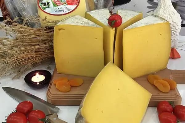 Akkaya Süt Ürünleri - Gıda Pazarı - Kars Kars Merkez