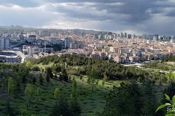 Mülkiye Hatıra Ormanı - Ulusal Orman - Ankara Çankaya