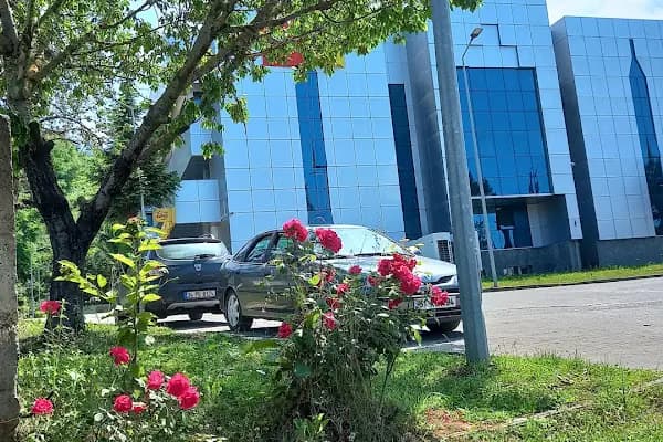 PTT - Trabzon Posta Kargo Işleme ve Dağıtım Merkezi - Postane - Trabzon Ortahisar