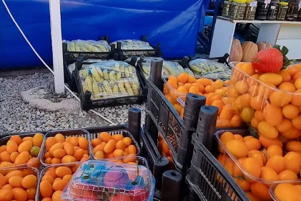 KALİTE TARIM MUZ - Yaş Meyve Sebze Toptancısı - Mersin Anamur
