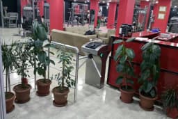 Ceylanpınar Akay Spor Salonu