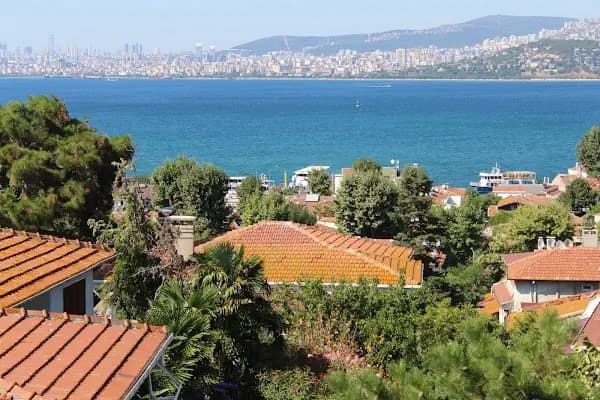 Hamidiye Camii - Cami - İstanbul Adalar