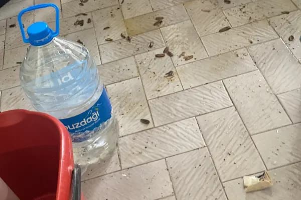 Sakaryada Temizlik Akpack Temizlik Hizmetleri - Temizlik Hizmetleri - Sakarya Adapazarı