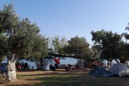 Deniz Atı Campıng
