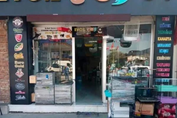 Evcil Pet 54 - Evcil hayvan mağazası - Sakarya Akyazı