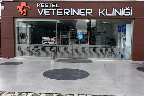 Kestel Veteriner Kliniği - Veteriner - Antalya Alanya