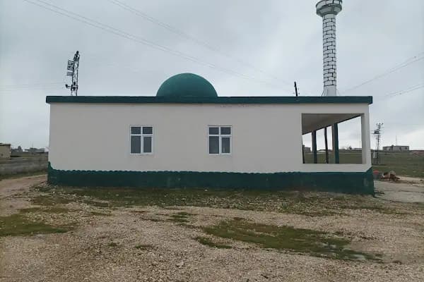 Yukarı ağaçlı cami - Cami - Şanlıurfa Ceylanpınar