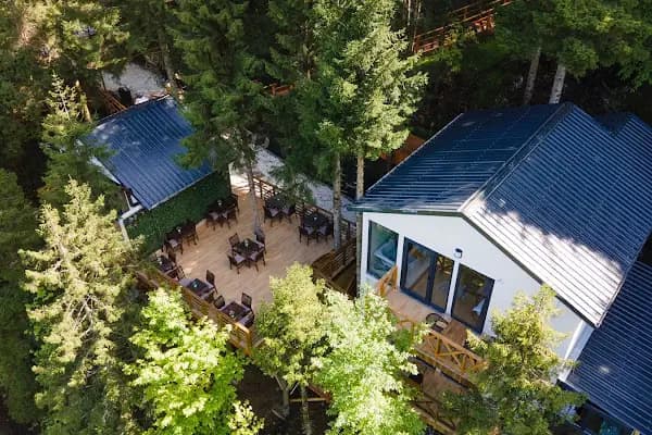 Montana Suıte Bungalow Trabzon - Kamping Bungalov - Trabzon Akçaabat