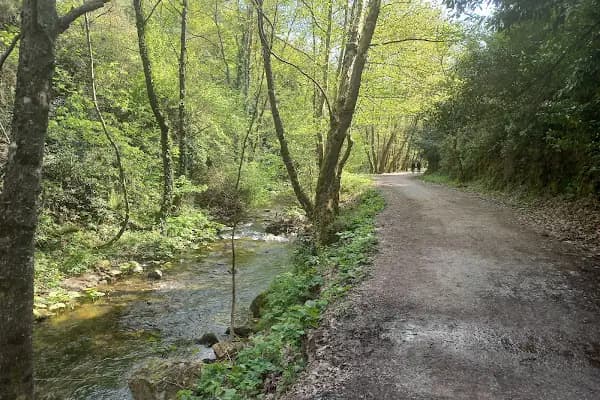Kocaeli Kent Ormanı - Milli Park - Kocaeli Başiskele