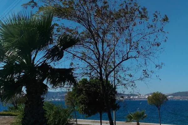 Can Cafe - Restoran - İzmir Aliağa