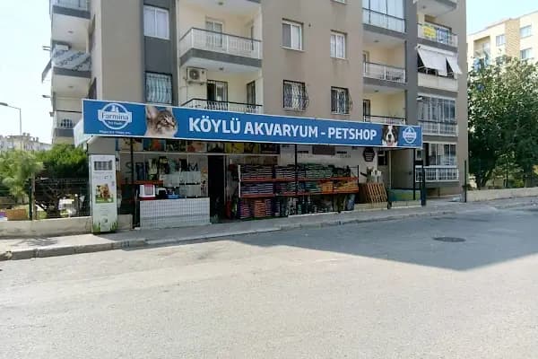 Köylü Akvaryum Petshop - Evcil hayvan mağazası - İzmir Çiğli