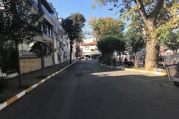 Mavi Marmara Burgazada İskelesi - Feribot İşletmesi - İstanbul Adalar
