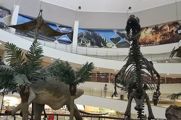 Şehit Cuma Dağ Tabiat Tarihi Müzesi - Doğa Tarihi Müzesi - Ankara Altındağ