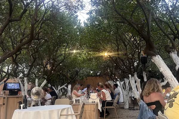 Beynel Bitez - Restoran - Muğla Bodrum