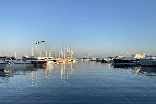 Marinturk - Marina - İstanbul Pendik