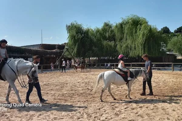 Kartepe At Çiftliği - At Binme Hizmeti - Kocaeli Körfez
