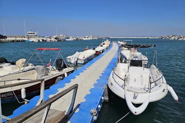 ENEZ BALIKÇILIK AYCAN'IN YERİ - Deniz Ürünleri Mağazası - Edirne Uzunköprü