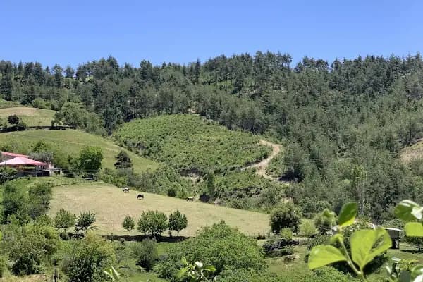 Yağızlar Göleti - Gölet - Adana Karataş