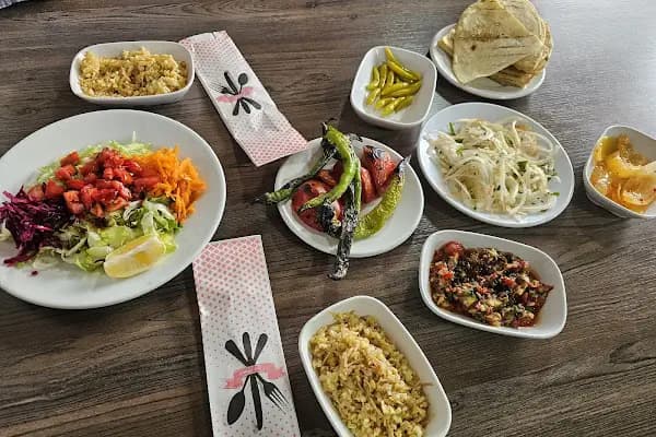 URFALI ZİYA USTANİN YERİ - Restoran - Ankara Akyurt