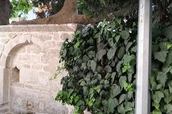 Çınarlı Kahve - Kafe - İstanbul Beylikdüzü