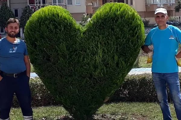 Bursa Peyzaj Ağaç Kesim Bahçe Düzenleme Budama Çim Dikimi Profesyonel Dizayn - Peyzaj Tasarımcısı - Bursa Orhangazi