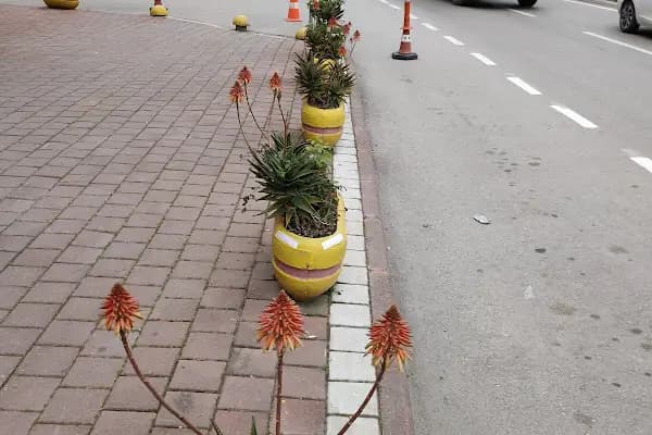 Ufuk Fotoğrafçılık - Fotoğrafçı - Adana Seyhan