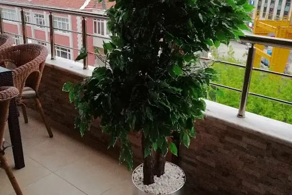 Selçuk çiçekçi &amp; Petshop - Akvaryum Mağazası - İstanbul Bağcılar